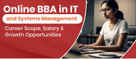 Online BBA in IT & System Management