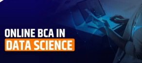 Online BCA in Data Science