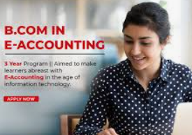 Online Bachelor of Commerce in E‑Accounting